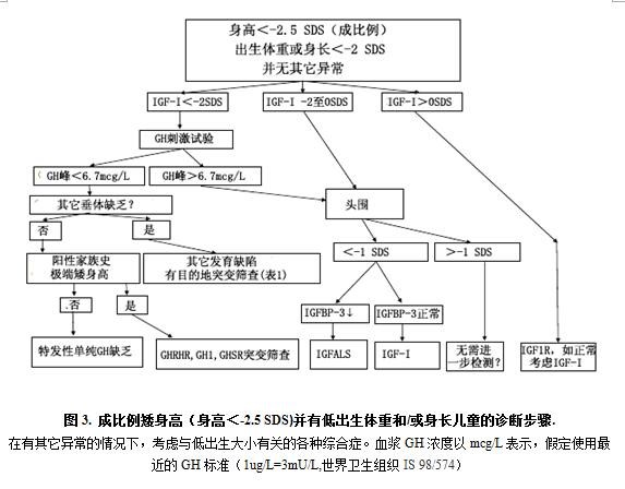 圖3.jpg