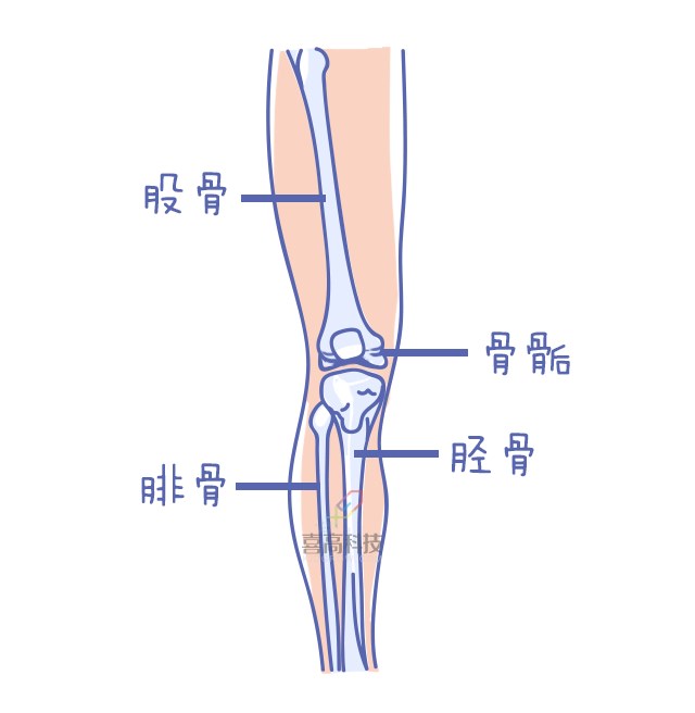 重啟骨骺線~你看起來很誘人！_10.png