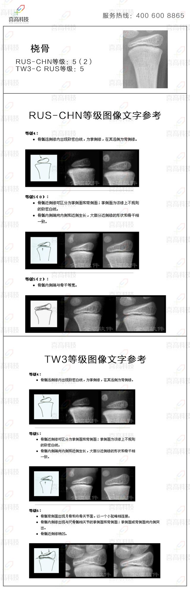 10-妗u.jpg