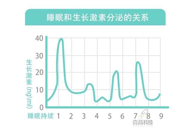 睡眠和生長(zhǎng)激素.jpg