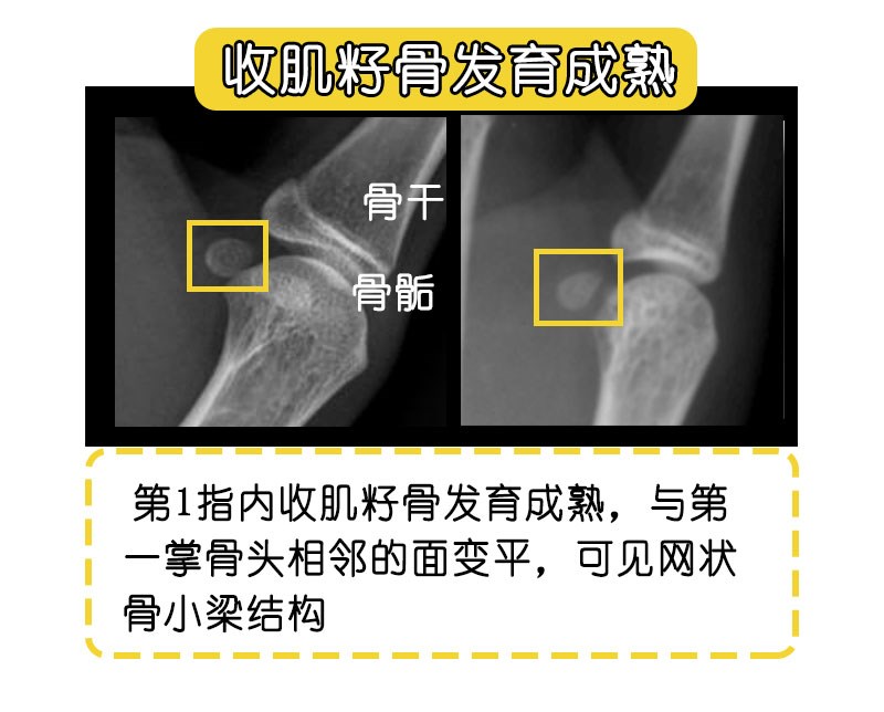 論文改寫插圖_12.jpg